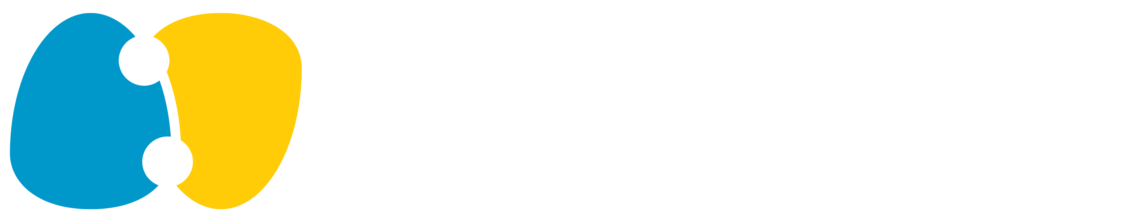 Runtime Verification Logo